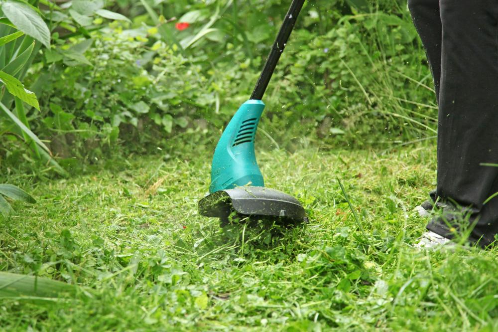Espaces vert contenu